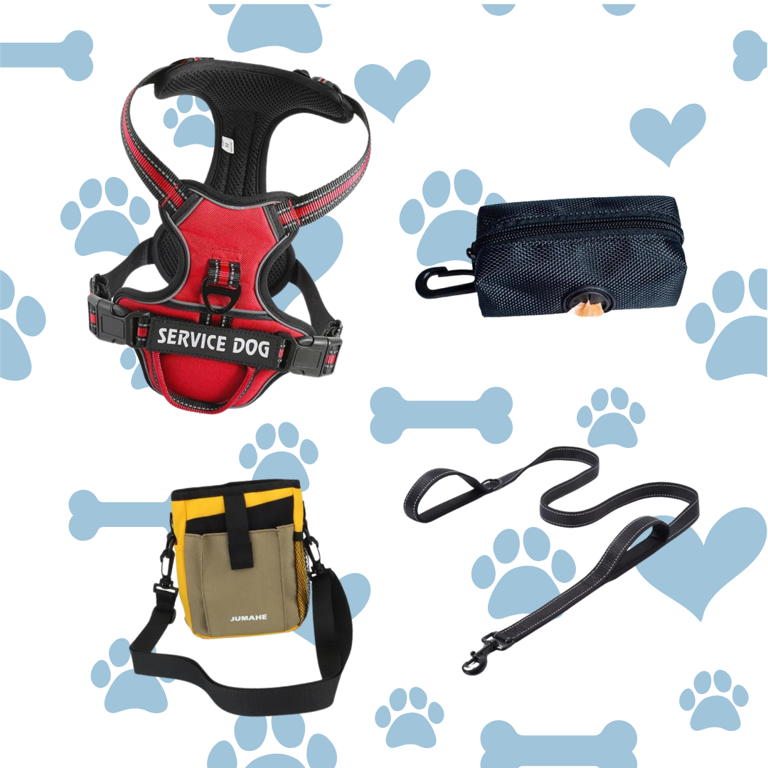 Personalized Dog Walking Kit